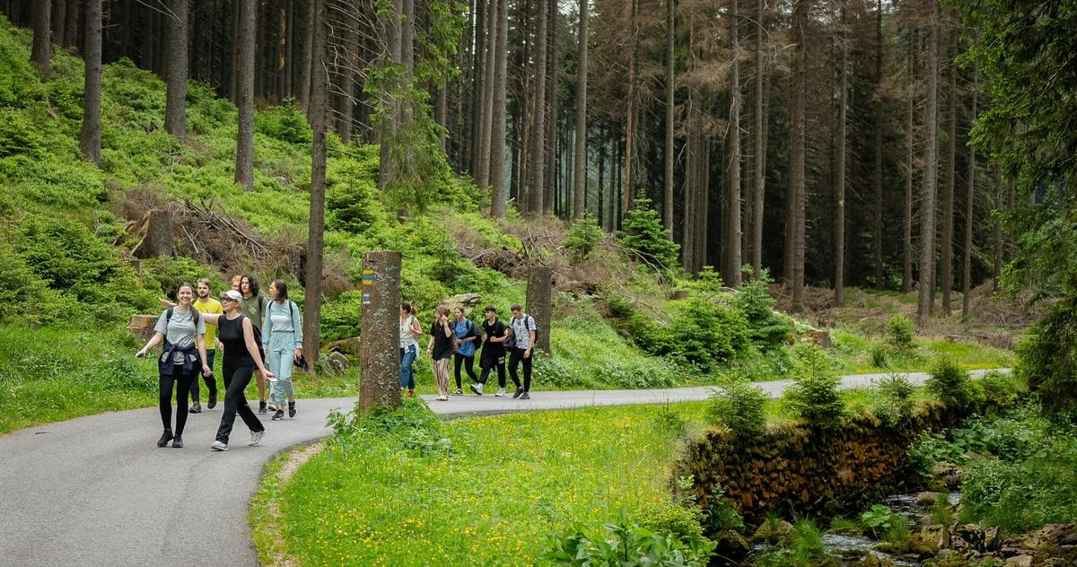 Journee Immersive Famille